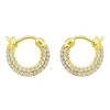 Earrings Sarah Luxury | Cerchietti Diamond